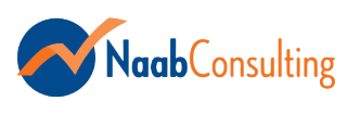 Naab Consulting Logo